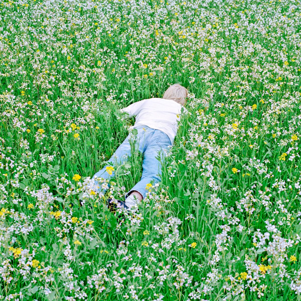 Nurture
Porter Robinson album at